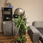 Apartment Murtal Ground