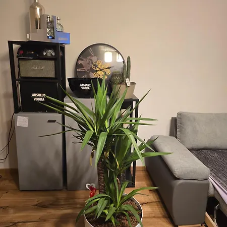 Apartamento Murtal Ground